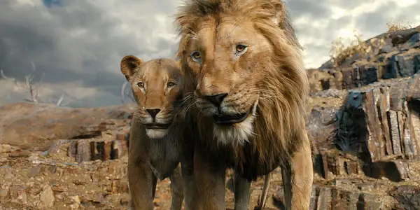 Hvad skete der med Mufasas forældre før Lion King