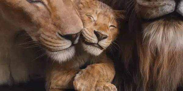 Liūto karalius: Kas buvo Mufasa tėvai?