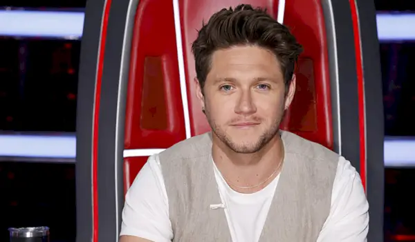 *실제* Niall Horan이 갑자기 성우를 떠난 이유 — 그리고 그가 돌아올 경우