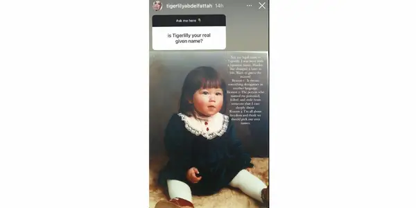 Fiantado de 90 días: la preocupante historia romántica de Tigerlily Taylor explicó (podría arruinar la vida de Adnan Abdelhamed)