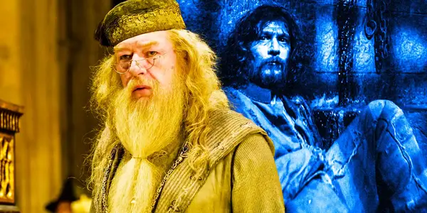 Et la star de Harry Potter parle de l'acteur qui est revenu via HBO