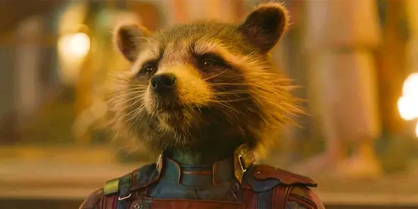 James Gunn spiega che il nome di Rocket Raccoon significa così perfettamente che rende i Guardiani della Galassia 3 ancora meglio