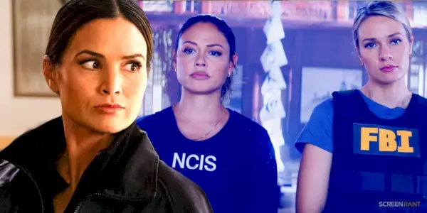Wyjście Knight’s Sad NCIS z 22. sezonu to najlepsza rzecz, jaka mogła przytrafić się Palmerowi