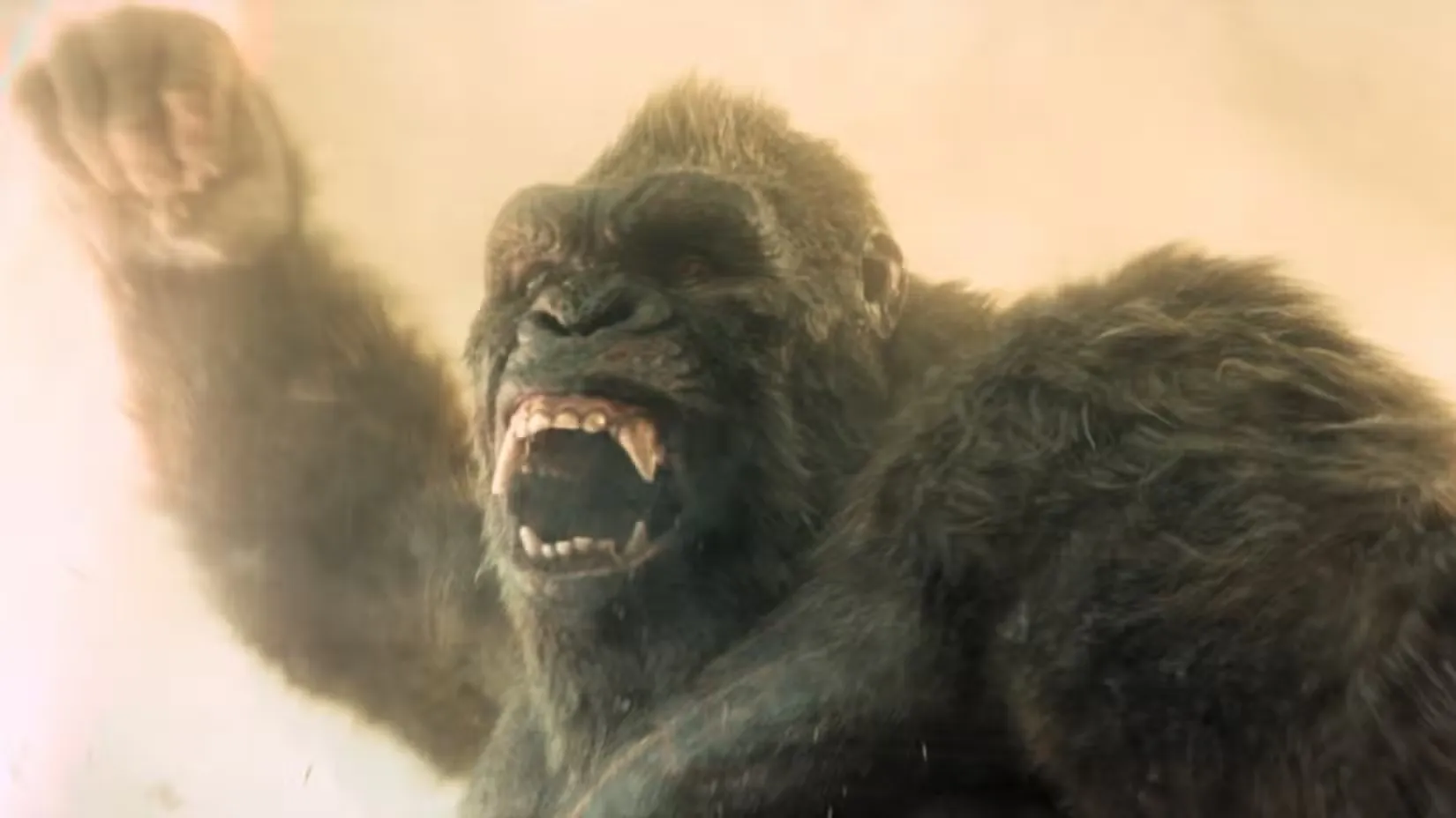 Le Monsterverse taquine une autre équipe Godzilla x Kong avant Supernova