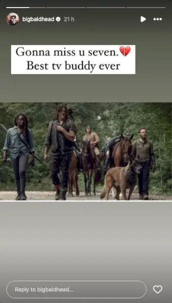 norman reedus חולק מחווה באינסטגרם ל-twd dog